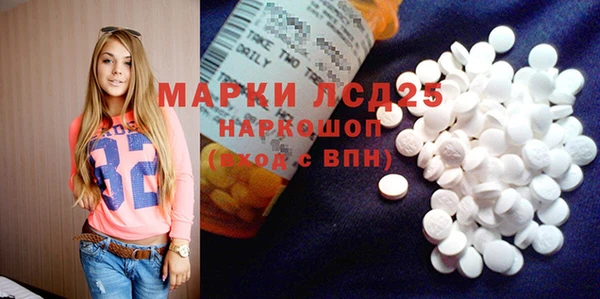ПСИЛОЦИБИНОВЫЕ ГРИБЫ Аркадак